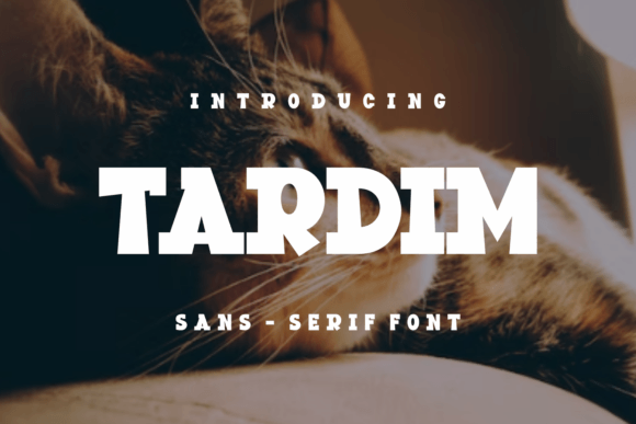Tardim: A Bold Display Font for Marketing That Commands Attention